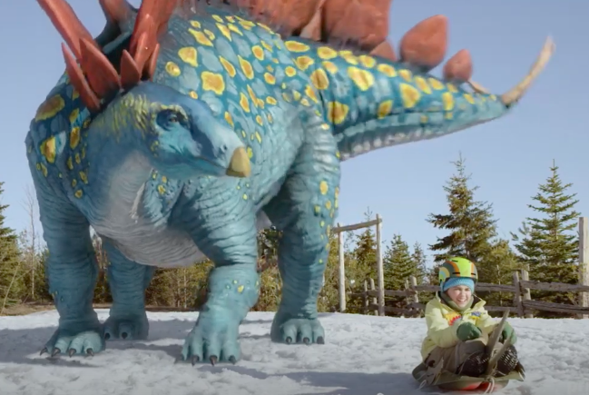 dino dana backpack for sale